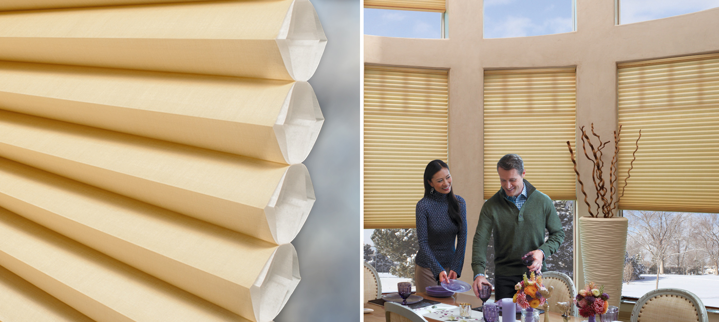 duette honeycomb shades